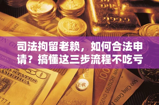 北京司法拘留老赖，如何合法申请？搞懂这三步流程不吃亏！