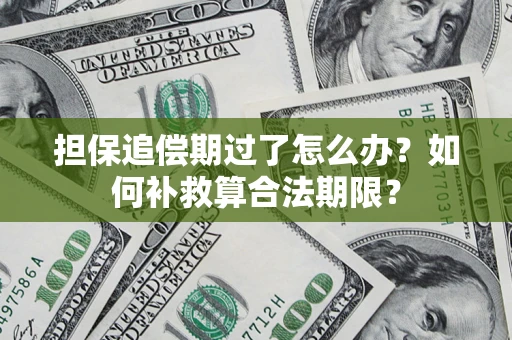 北京担保追偿期过了怎么办？如何补救算合法期限？