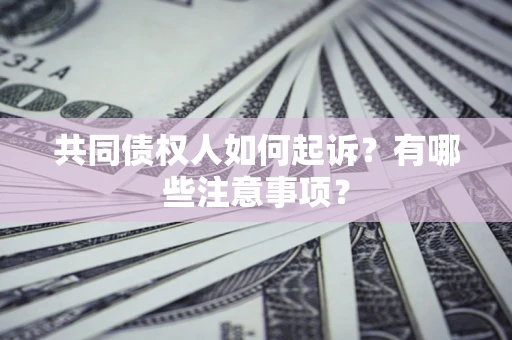 北京共同债权人如何起诉？有哪些注意事项？
